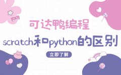 山东可达鸭编程可达鸭编程揭秘：少儿编程scratch和python的区别